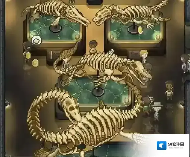 我的化石博物馆恐龙化石分类 游戏中都有哪些类别化石