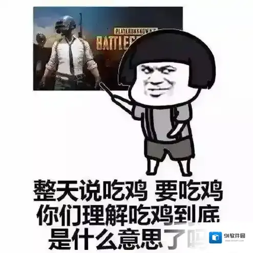 荒野行动游戏