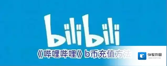 哔哩哔哩我的钱包