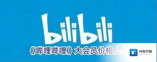 《哔哩哔哩》大会员价格介绍