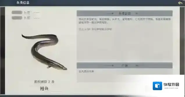 黎明之海聚集