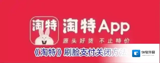 淘特刷脸支付
