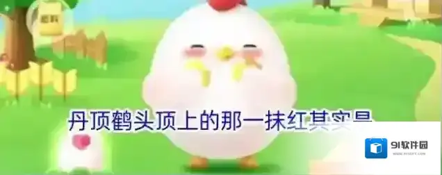 丹顶鹤头顶上的那一抹红其实是