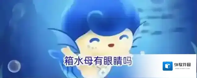 箱水母有眼睛吗