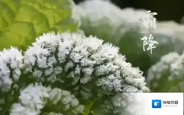 支付宝的吗
