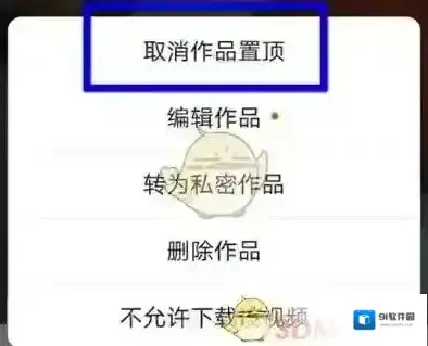 快手作品