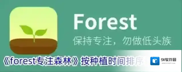 Forest专注森林