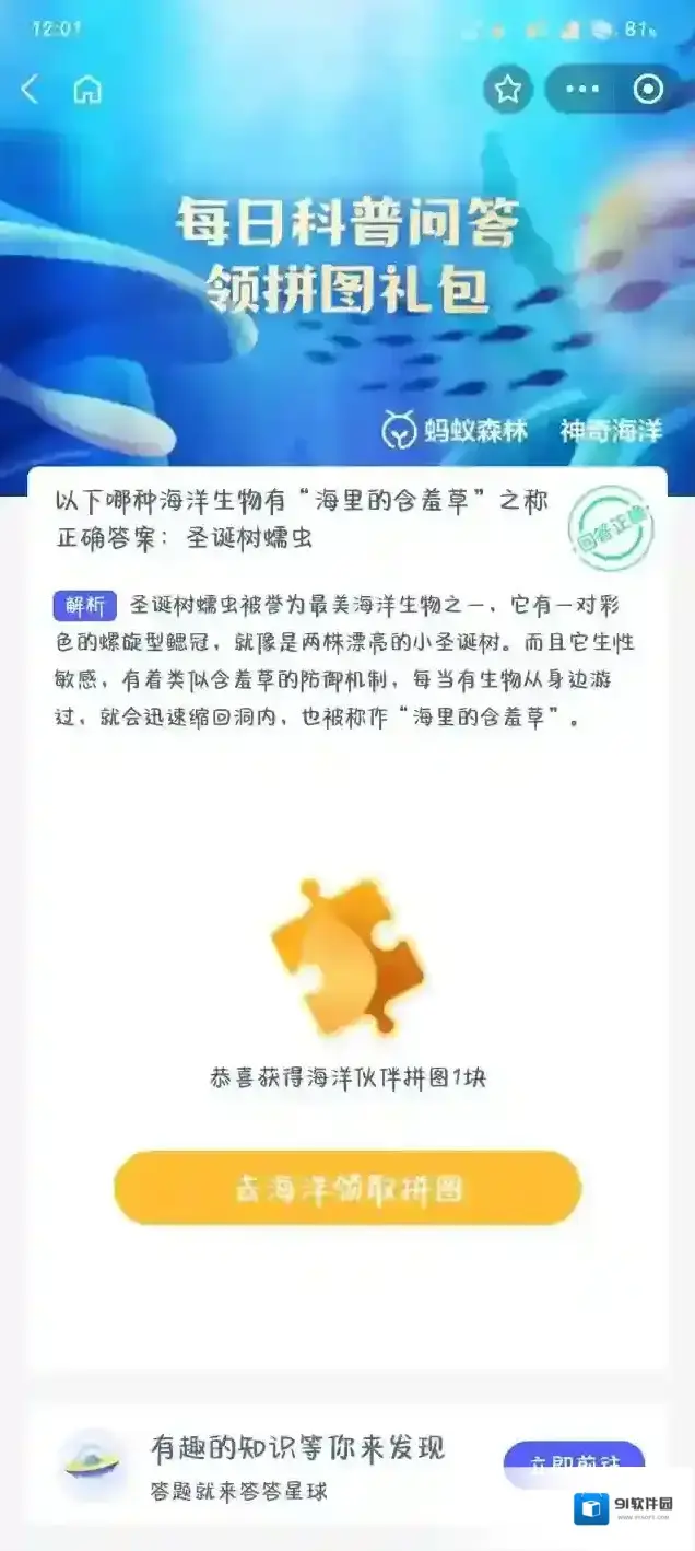 以下哪种海洋生物有海里的含羞草之称