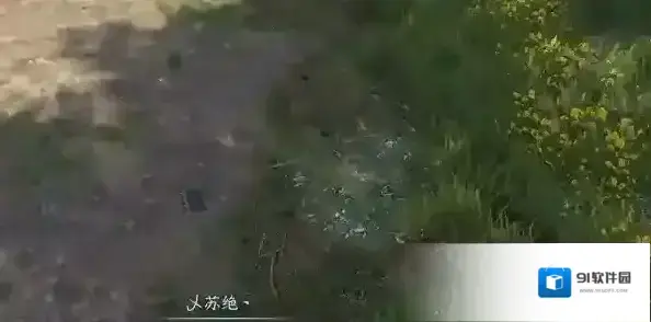 逆水寒任务完成