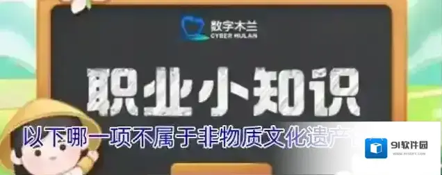 以下哪一项不属于非物质文化遗产的范畴