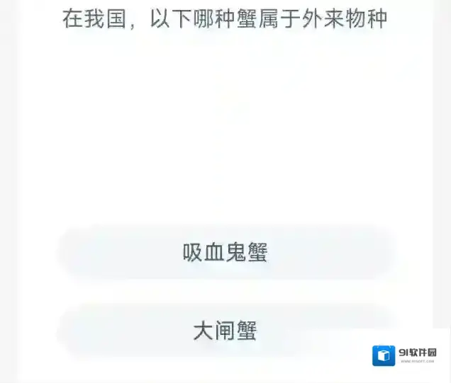 支付宝海洋