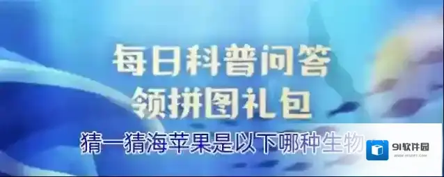 猜一猜海苹果是以下哪种生物
