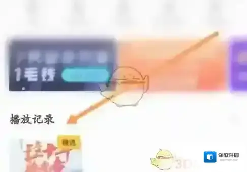PP视频记录