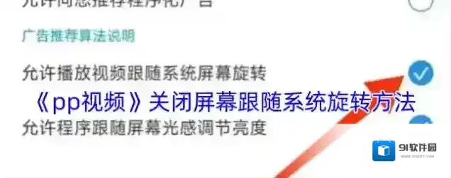 PP视频视频