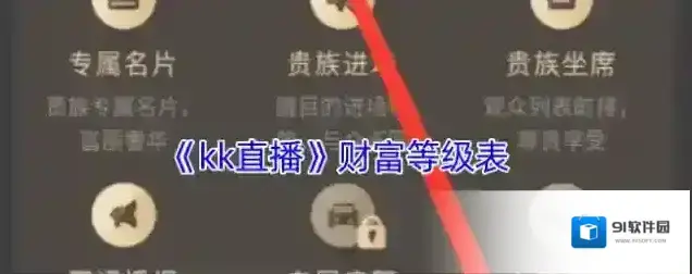 《kk直播》财富等级表
