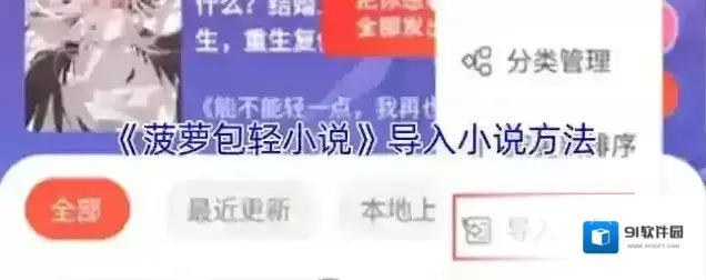 菠萝包轻小说导入