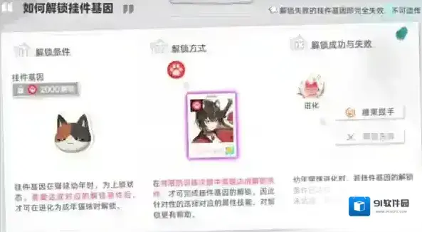 猫之城基因