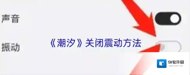潮汐更多设置