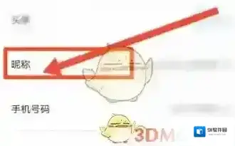 特斯拉选择页面