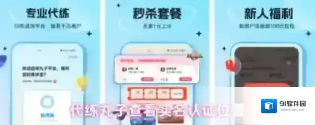 代练丸子打开界面