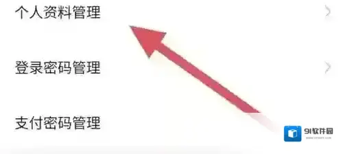代练丸子打开手机