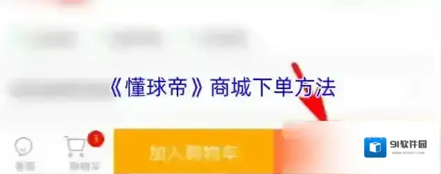 懂球帝商城