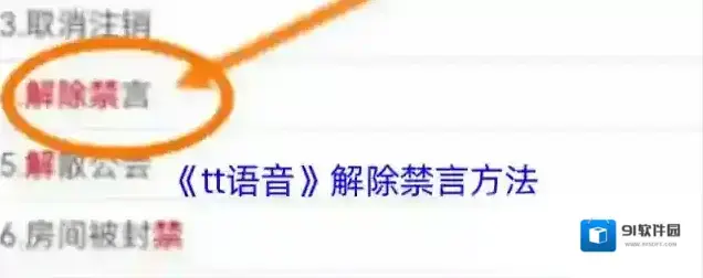 tt语音禁言