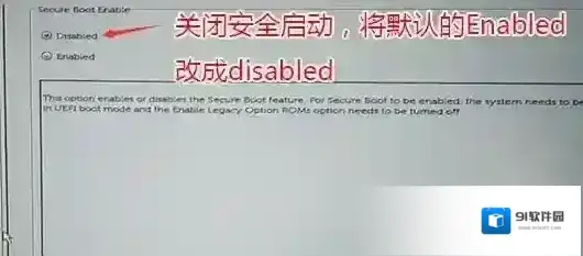 戴尔格式