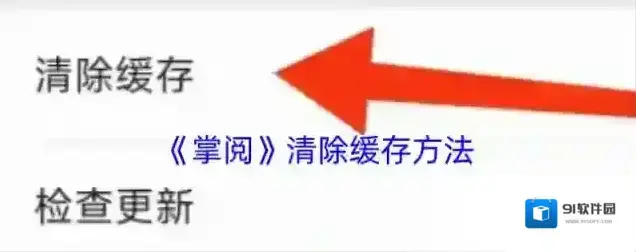 掌阅界面