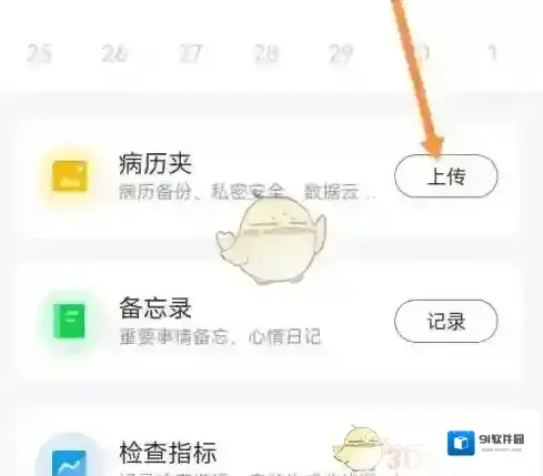 小荷选项