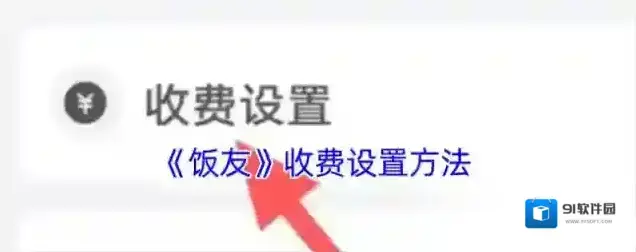 饭友收费