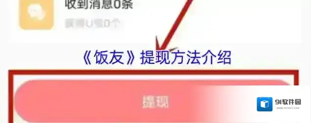 饭友提现