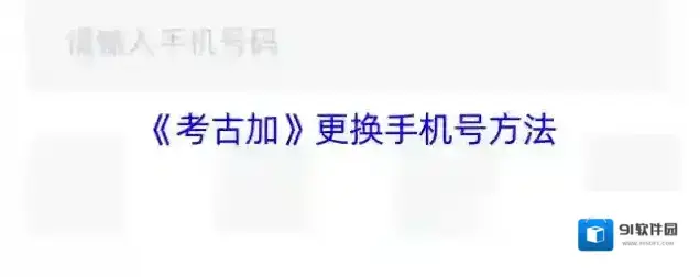 灰豚数据考古