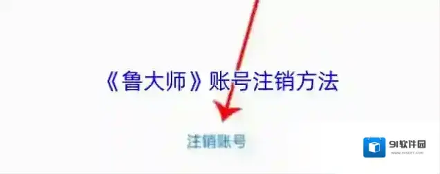 鲁大师注销账号