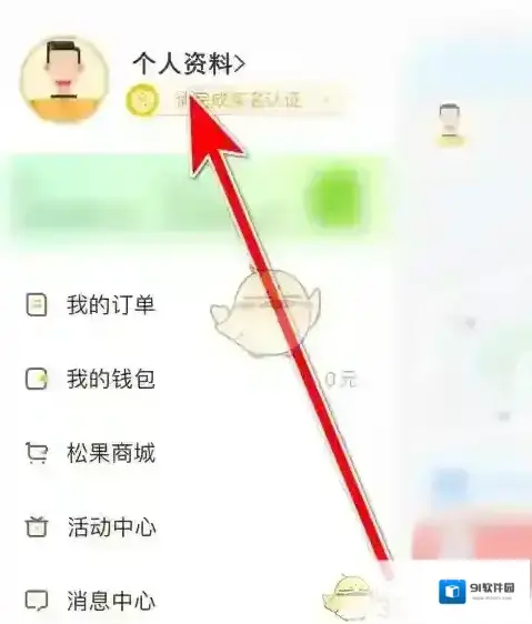 松果出行选择