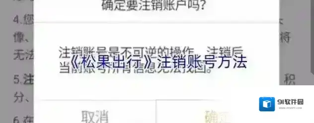 松果出行点击