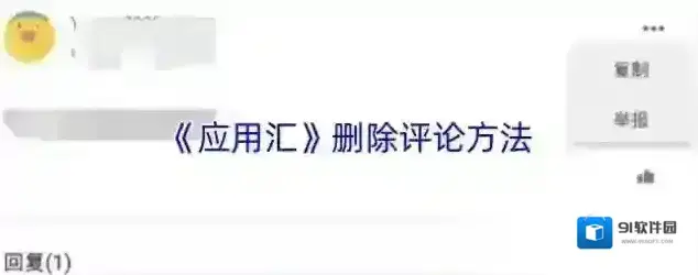 应用汇评论