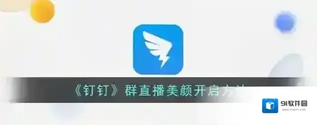 钉钉白色