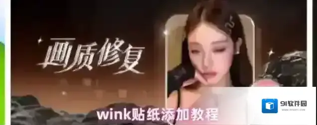 Wink贴纸