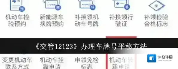 交管12123信息