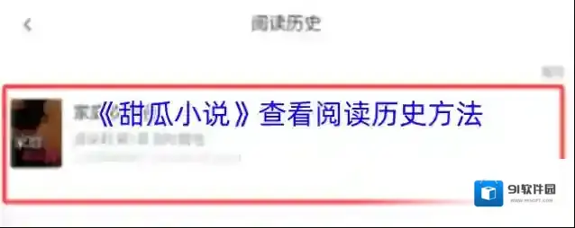 甜瓜小说阅读历史