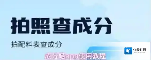成分喵成分