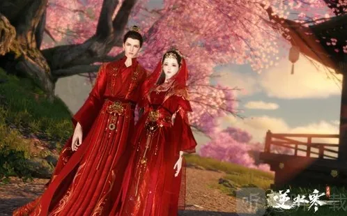 逆水寒手游结婚需要哪些条件 逆水寒结婚条件介绍