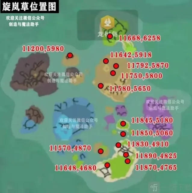 创造与魔法龙树