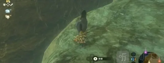 塞尔达传说甲谷