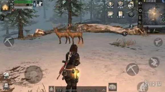 明日之后白树高地