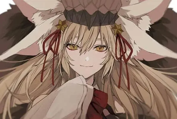 命运国服暗狐卡池抽取攻略