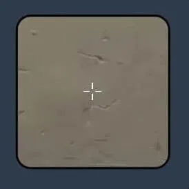 无畏契约怎么设置