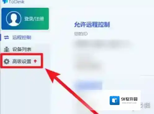 todesk选项