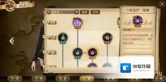 航海王燃烧意志罗宾技能怎么加点 罗宾技能加点推荐